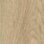 Classic Oak