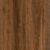 Nottingham Oak
